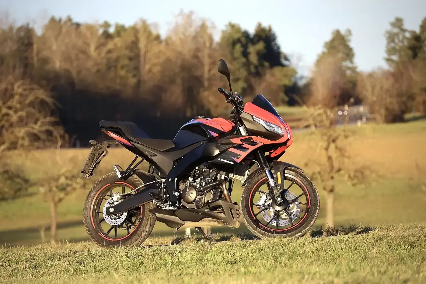 Aprilia Tuono, sportive — vue extérieure