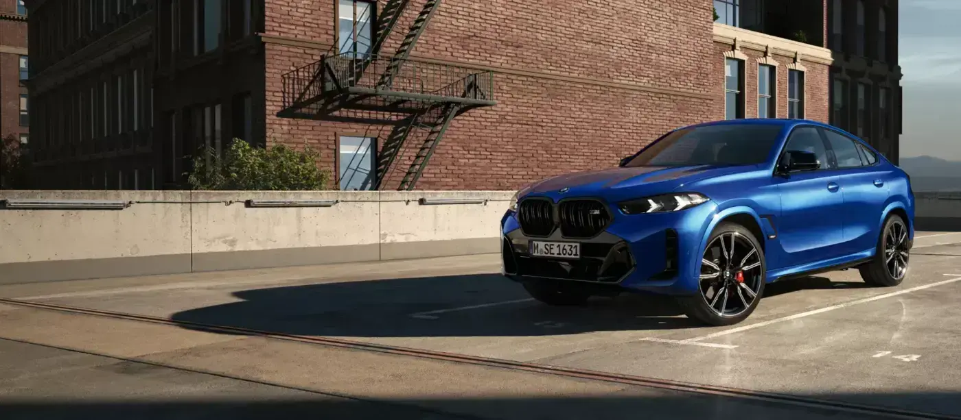 BMW X6