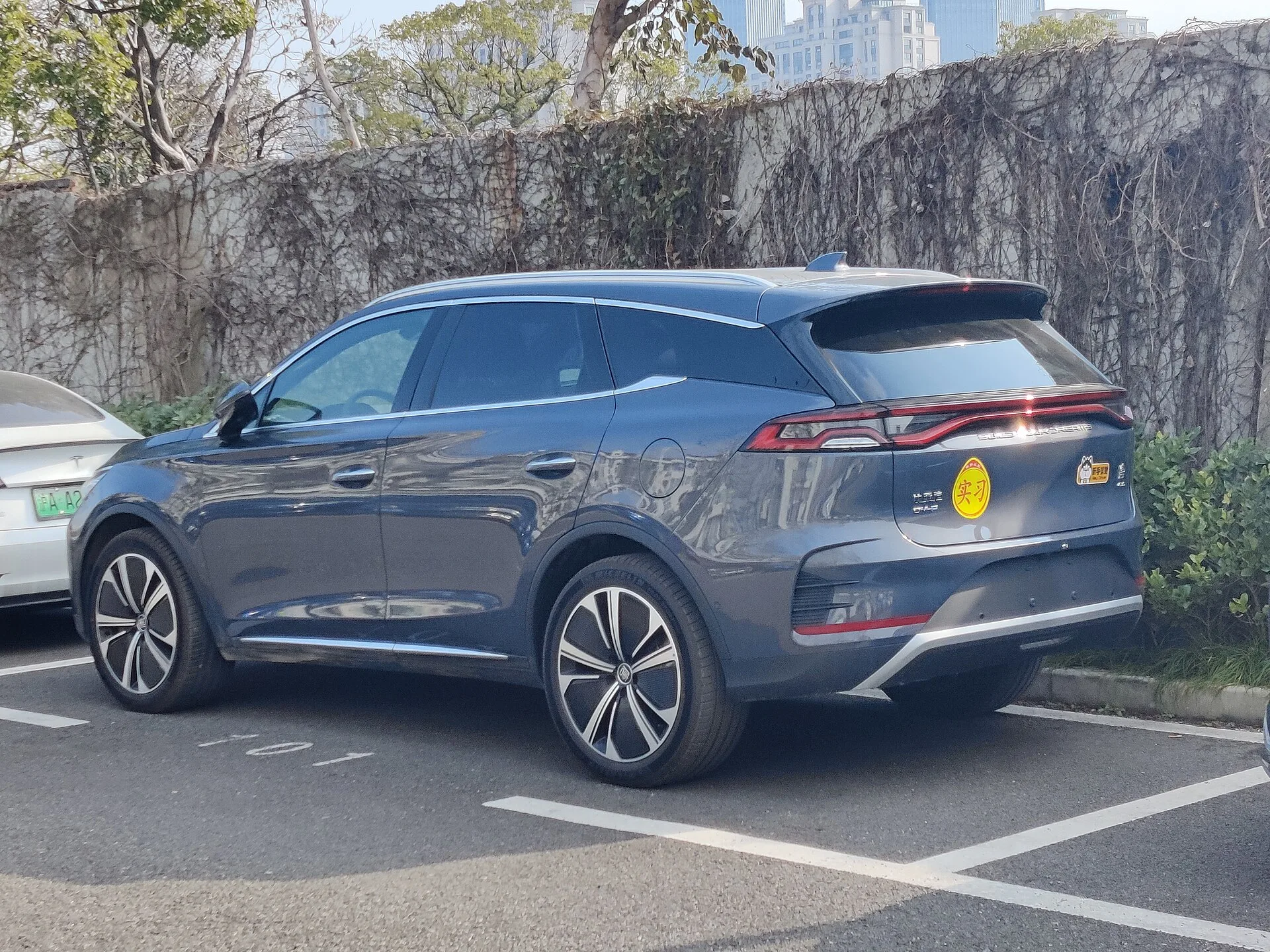 BYD Tang