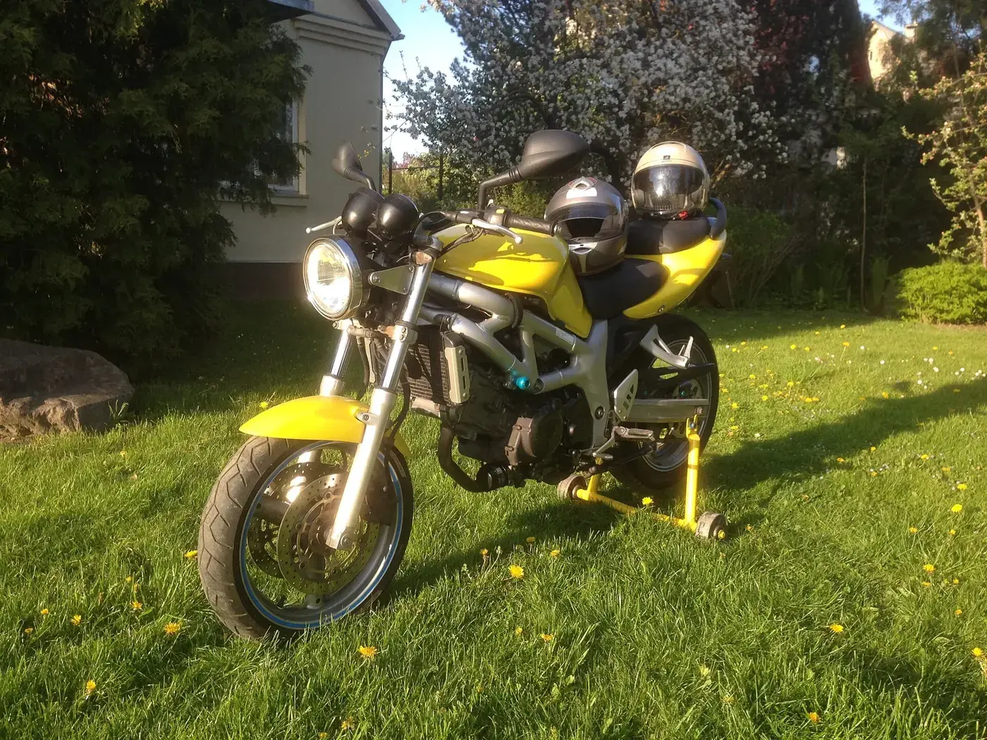 Suzuki SV, roadster — vue extérieure
