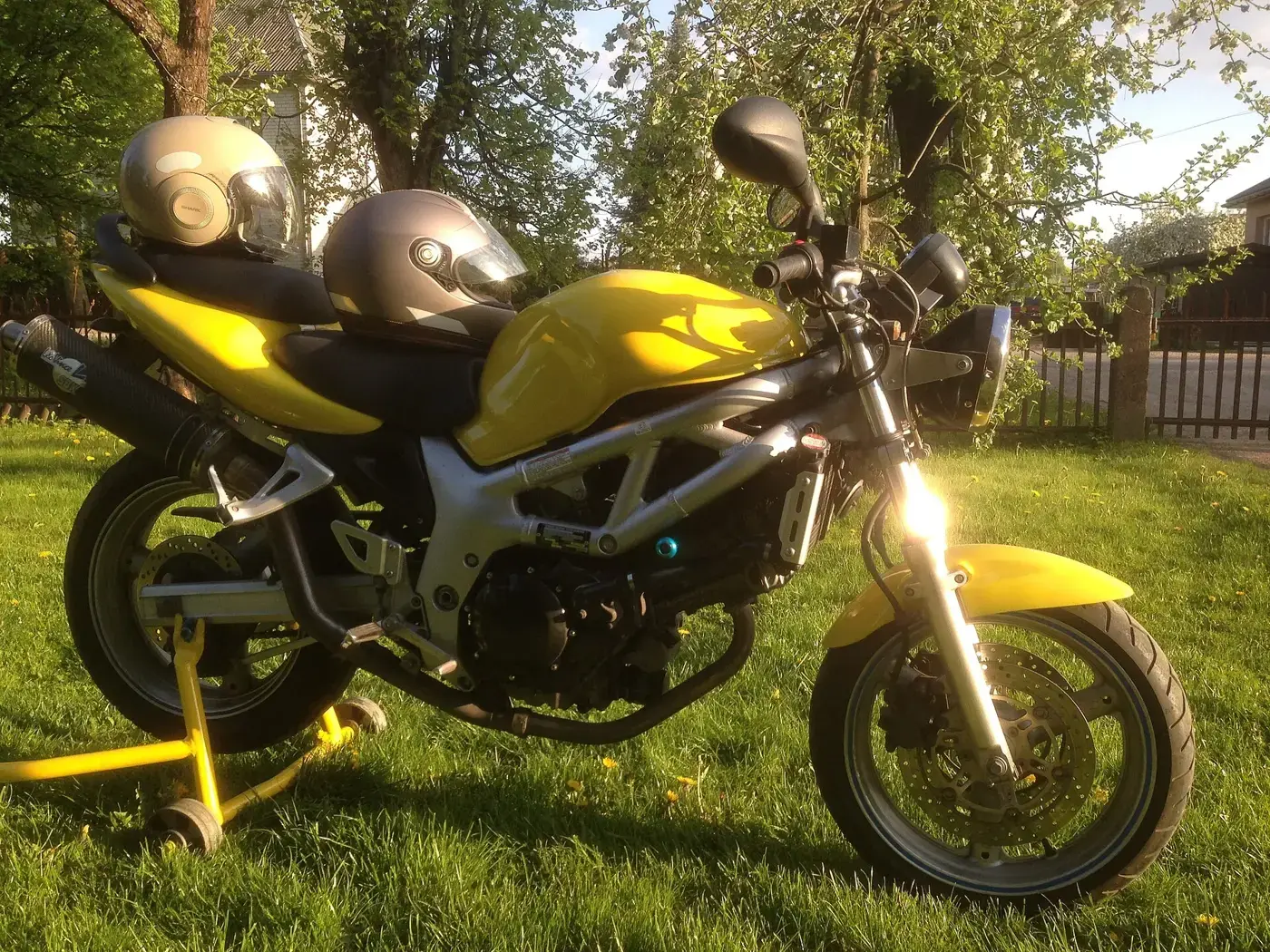 Suzuki SV, roadster — vue extérieure